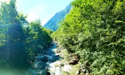 Featured image of post 23 Tage - 23 Bilder (2022) - Teil 18