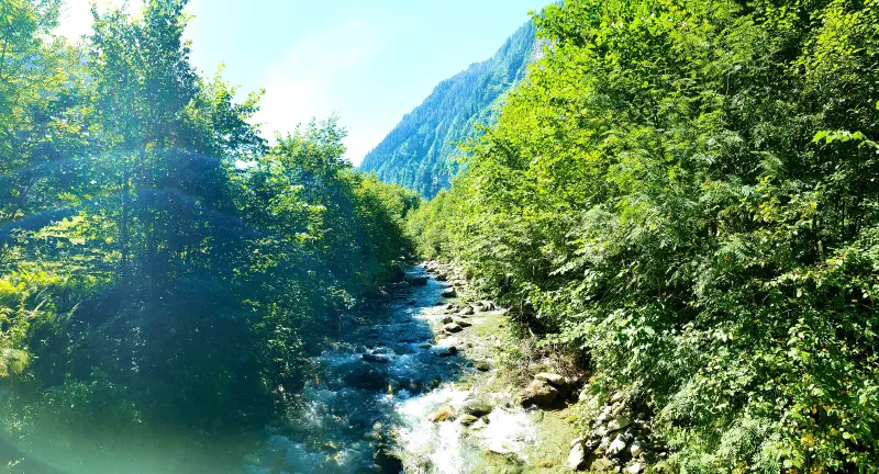 Featured image of post 23 Tage - 23 Bilder (2022) - Teil 18