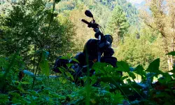 Featured image of post 23 Tage - 23 Bilder (2022) - Teil 2