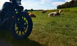 Featured image of post 23 Tage - 23 Bilder (2022) - Teil 4