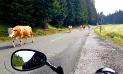 Featured image of post 23 Tage - 23 Bilder - Teil 15