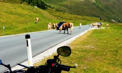 Featured image of post 23 Tage - 23 Bilder - Teil 2