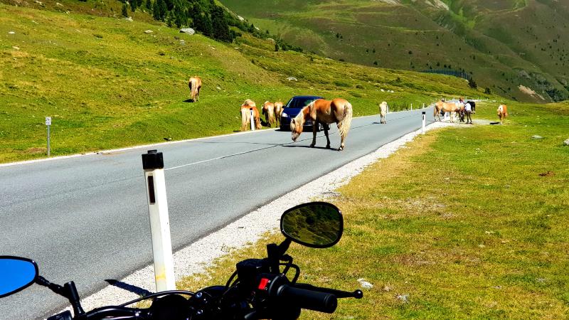 Featured image of post 23 Tage - 23 Bilder - Teil 2