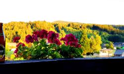 Featured image of post 23 Tage - 23 Bilder - Teil 4