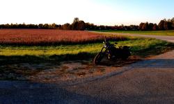 Featured image of post Abendsonne im September