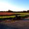 Abendsonne im September