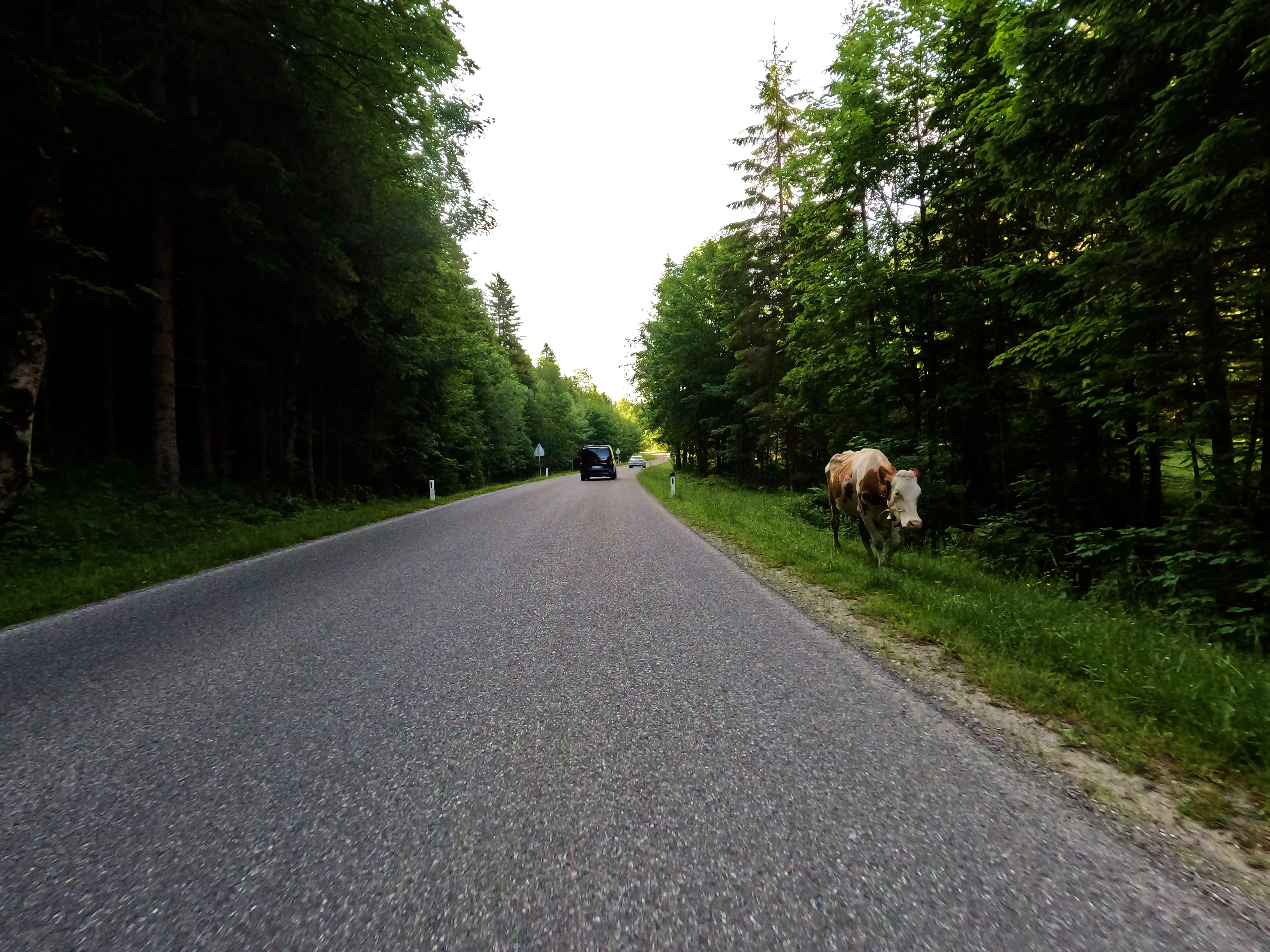 Vorbildlich auf der linken Seite