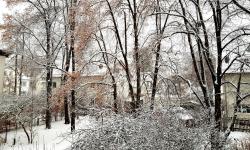 Featured image of post Blick aus dem Fenster, Nummer 2