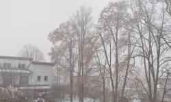 Featured image of post Blick aus dem Fenster