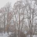 Blick aus dem Fenster