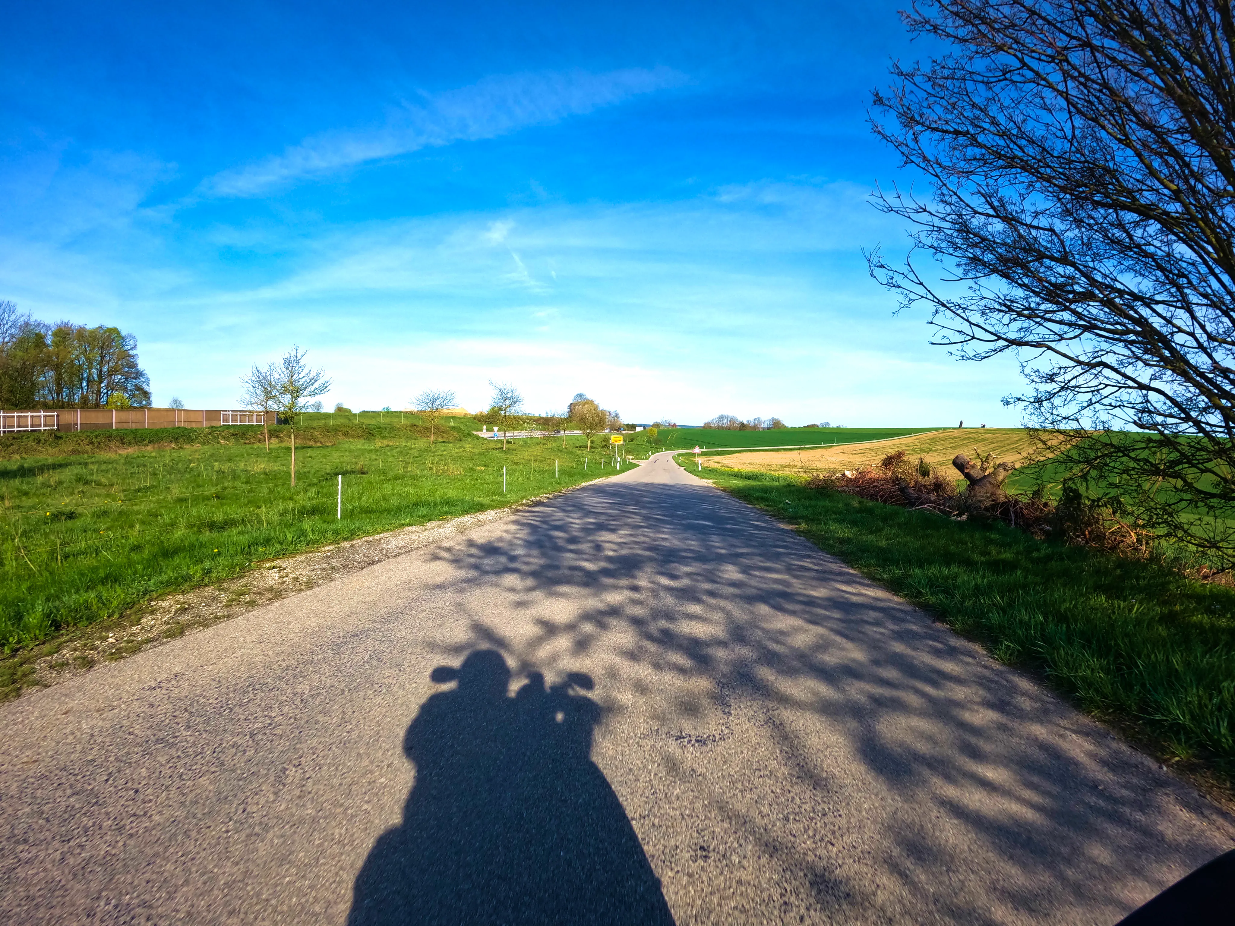 Links Autobahn, rechts Bäumchen