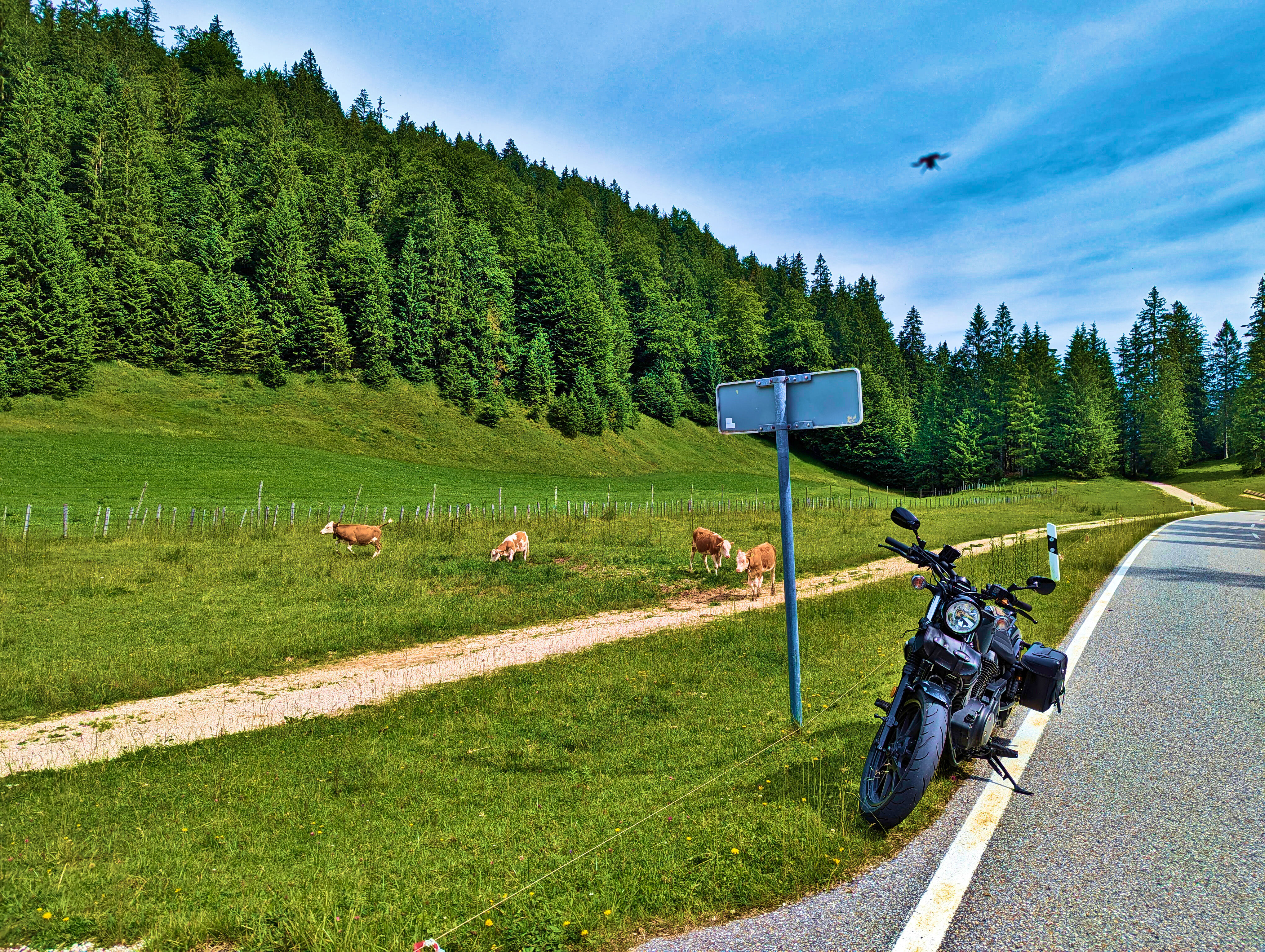 … die auch mal …