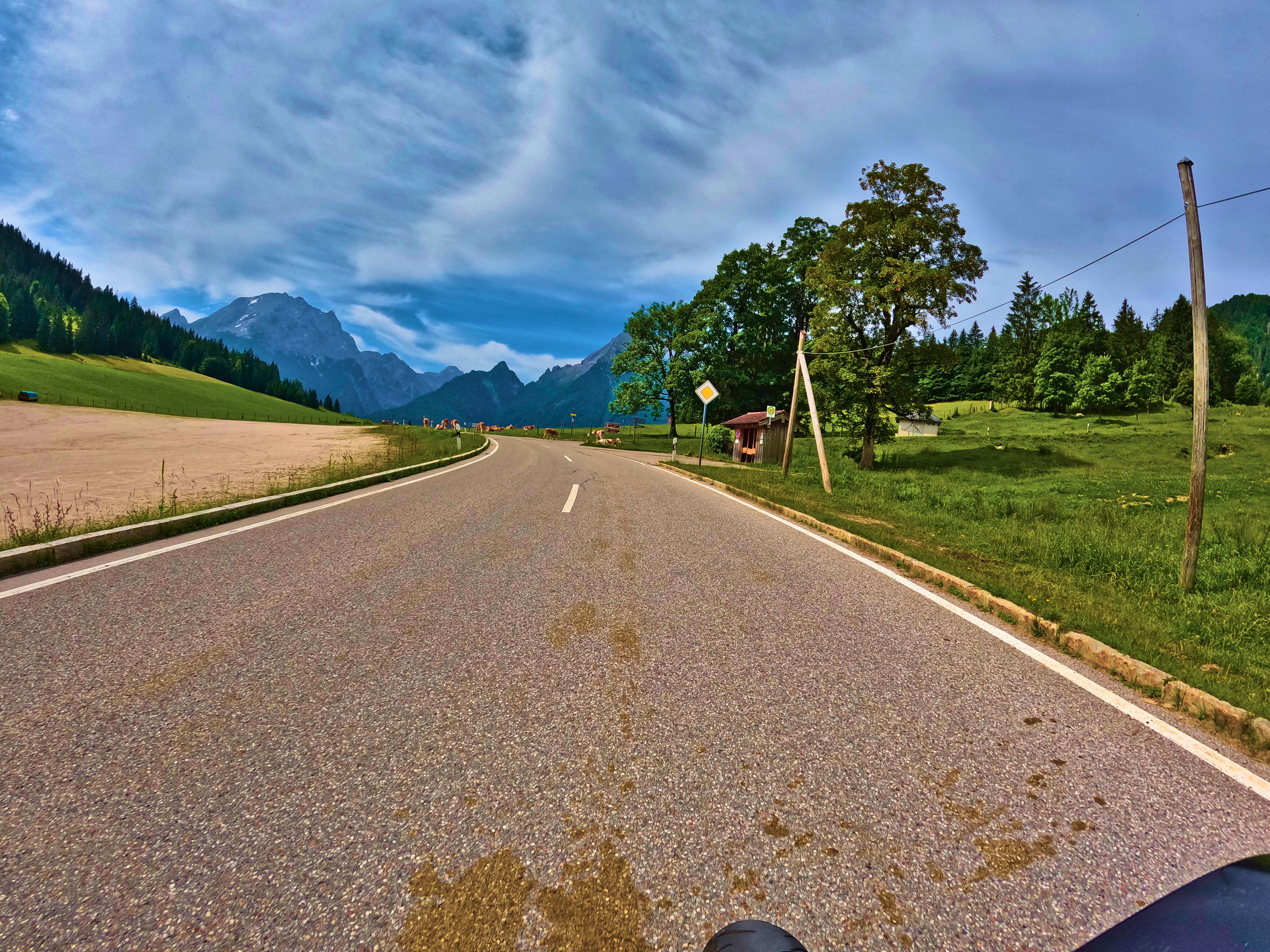 Kuhhinterlassenschaften …