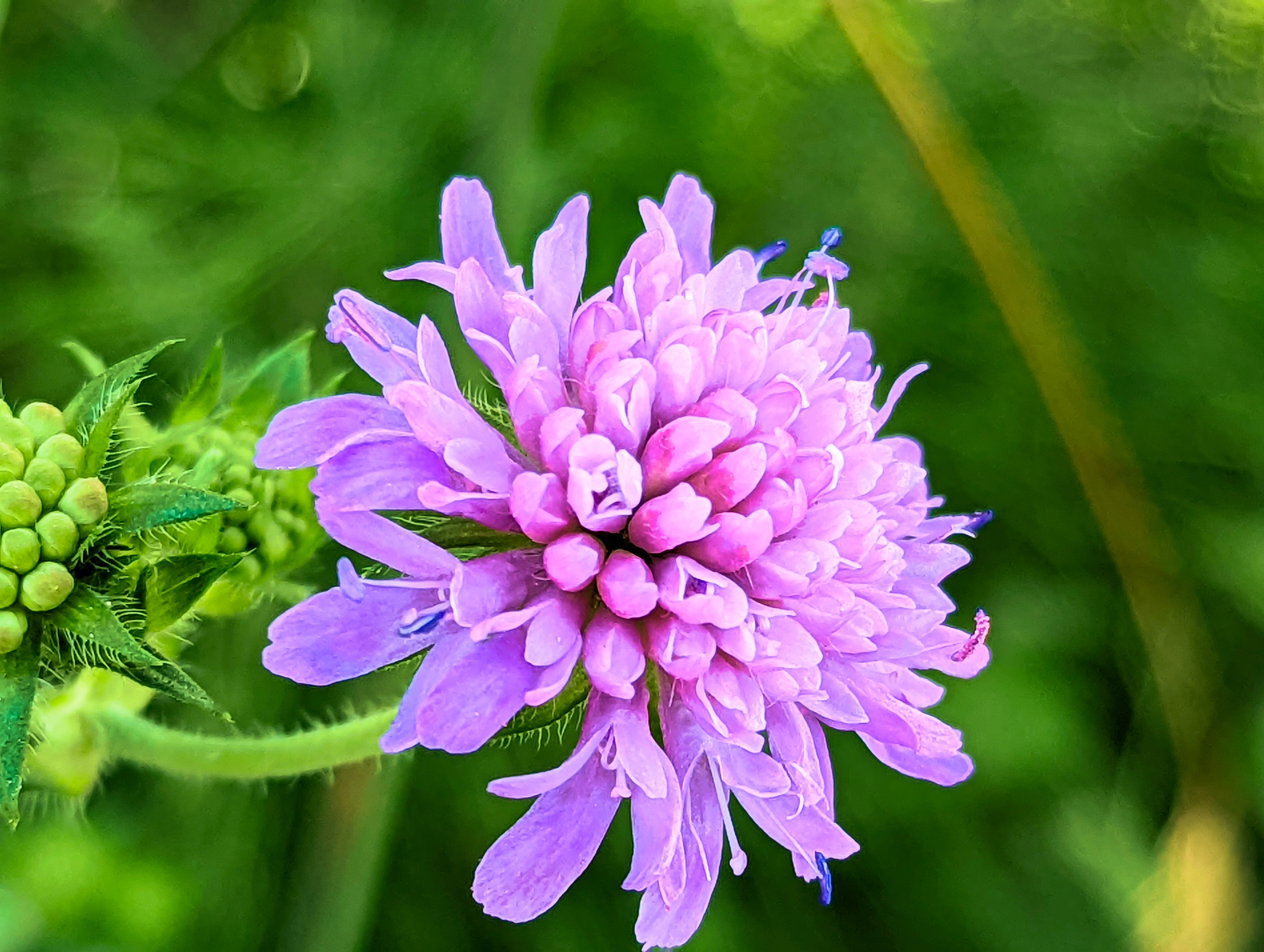 … und noch mehr Zoom.