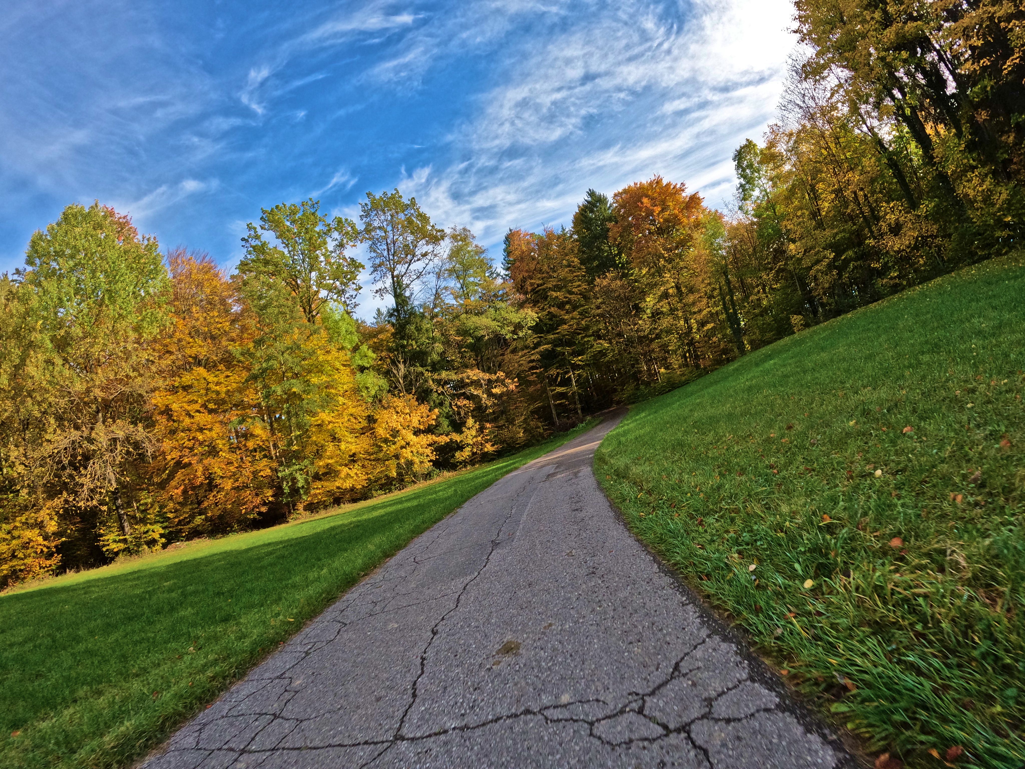 &hellip; seinen Farben.