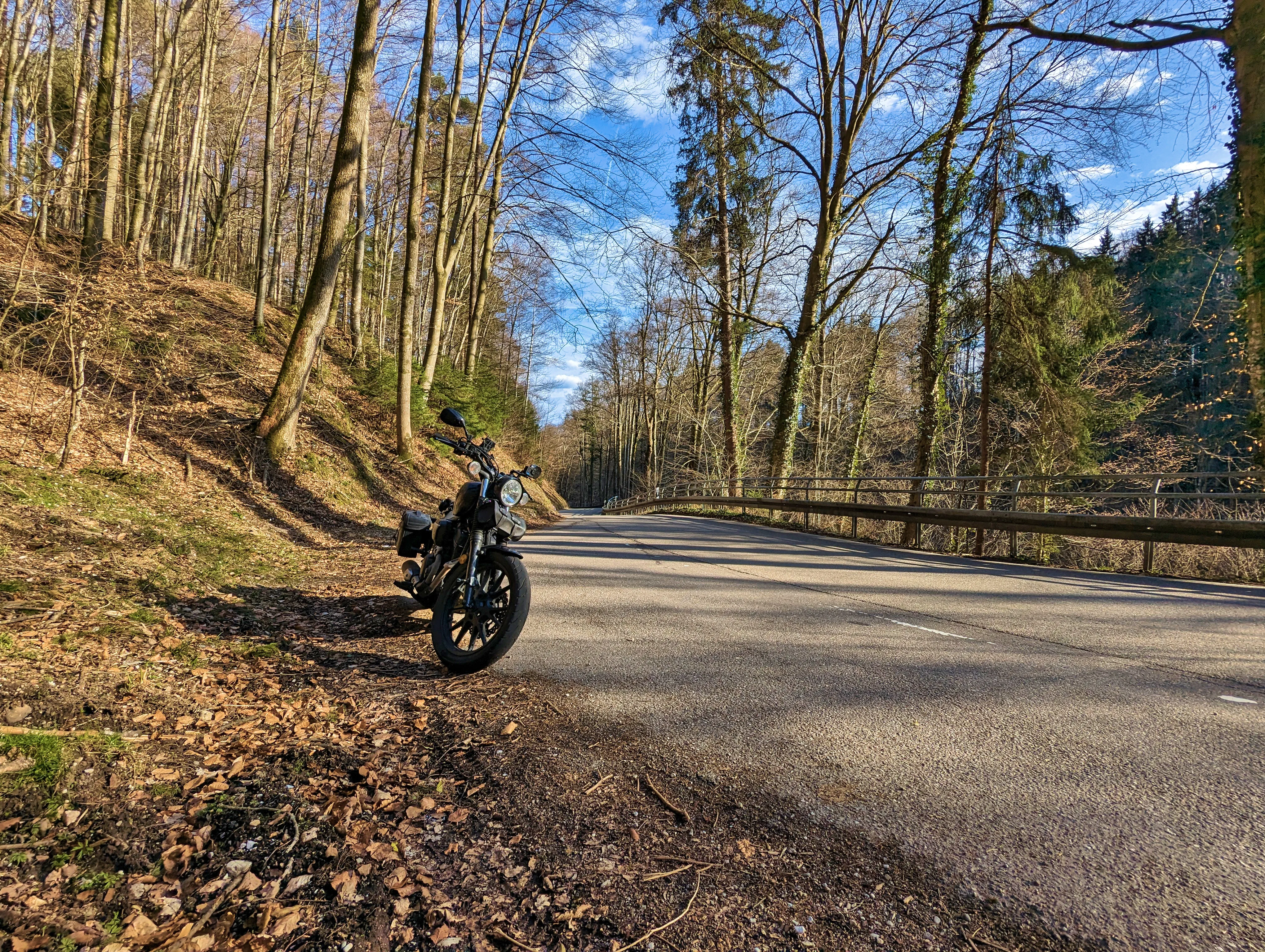 &hellip; und der Frühling kommt.