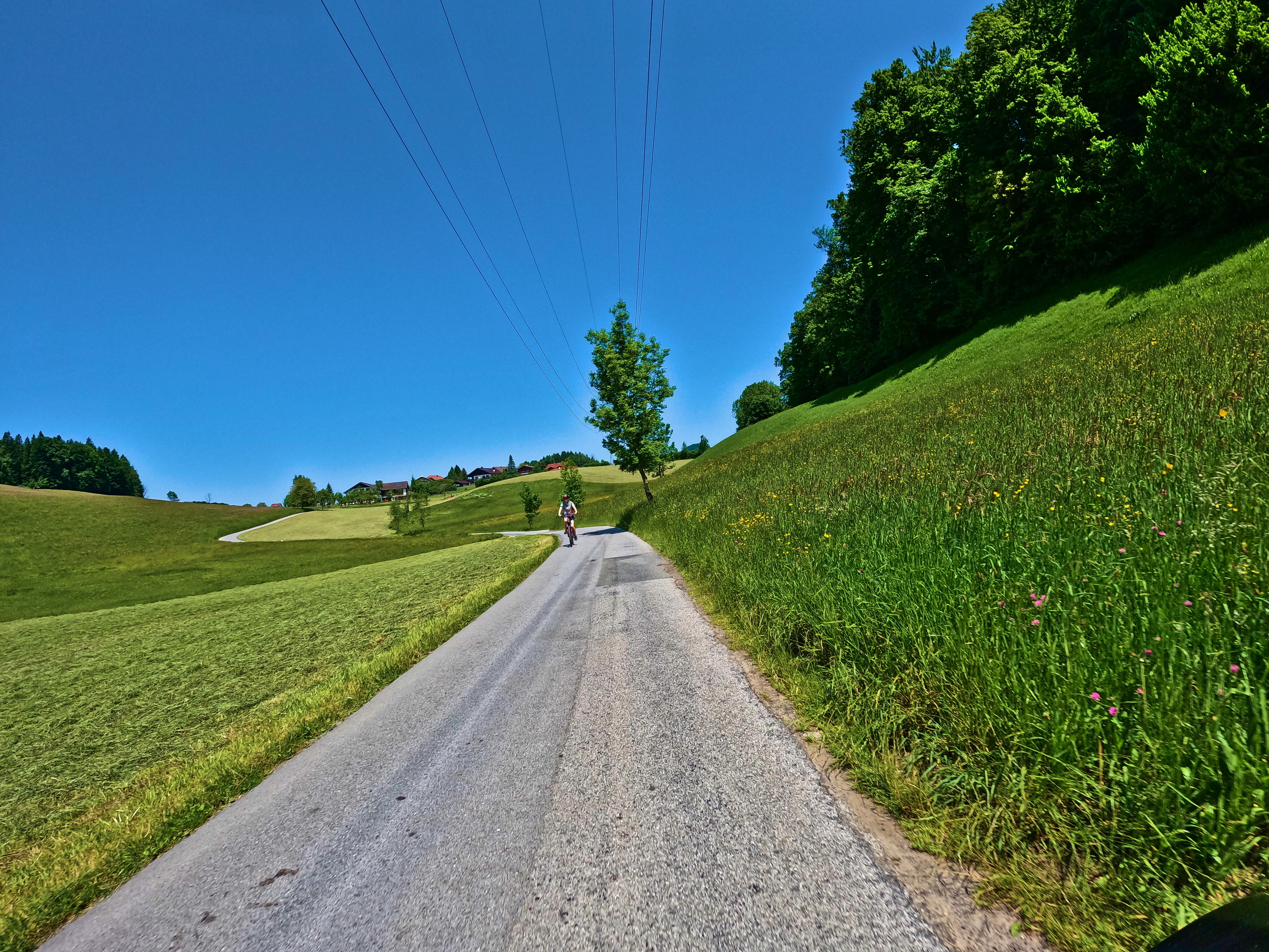 Radfahrender Gegenverkehr
