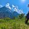 Durch Tirol und das Salzburger Land