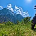 Durch Tirol und das Salzburger Land