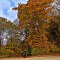 Ein Bild zwischendurch: Farben des Herbstes