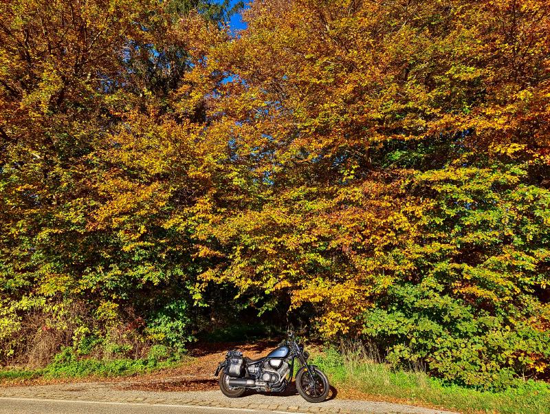 Featured image of post Ein Bild zwischendurch: Nutzt das Wetter!