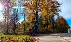 Featured image of post Erst durch den Nebel, dann viel Sonne auf dem Weg nach Franken