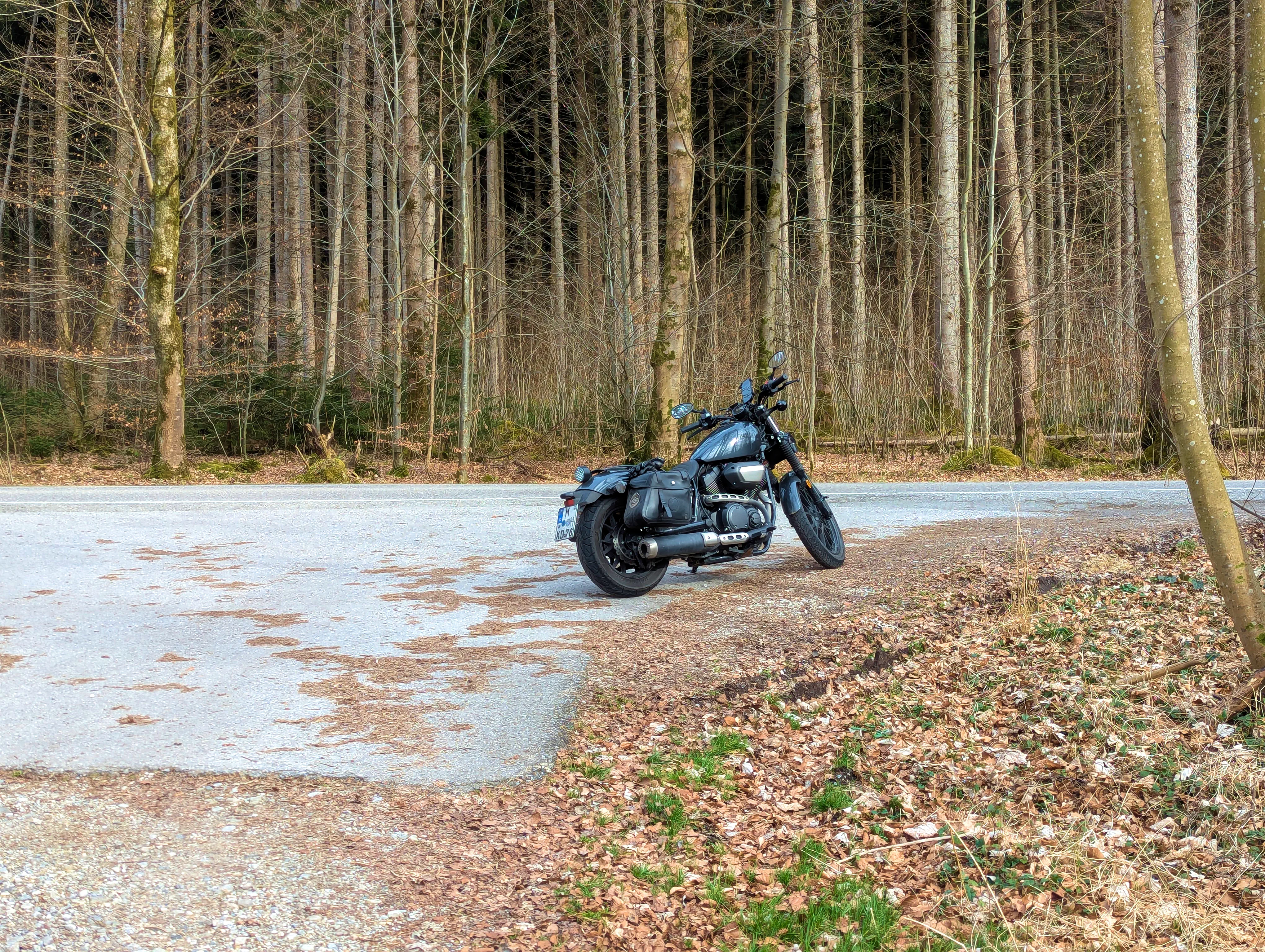 &hellip; im kahlen Wald.