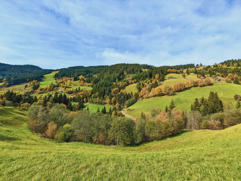 Featured image of post Es wird Herbst