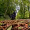Herbst 2025