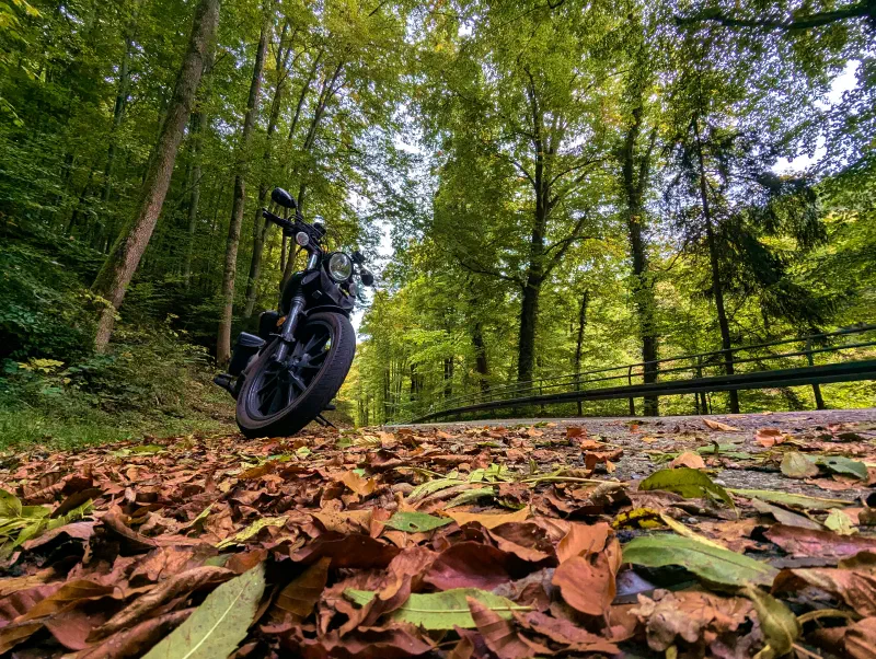 Featured image of post Herbst 2025