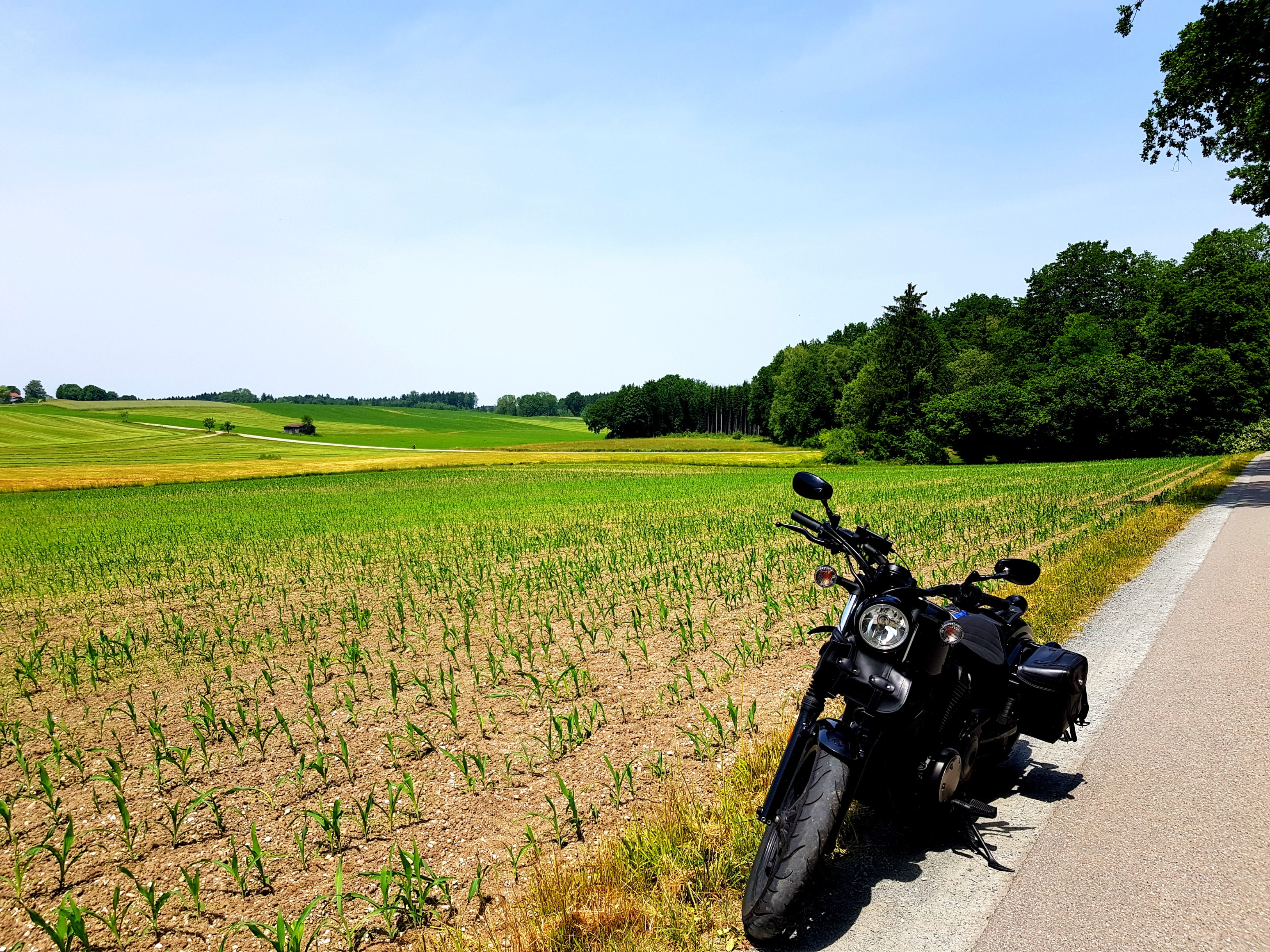 Blick auf… Nichts - aber sehr idyllisches Nichts