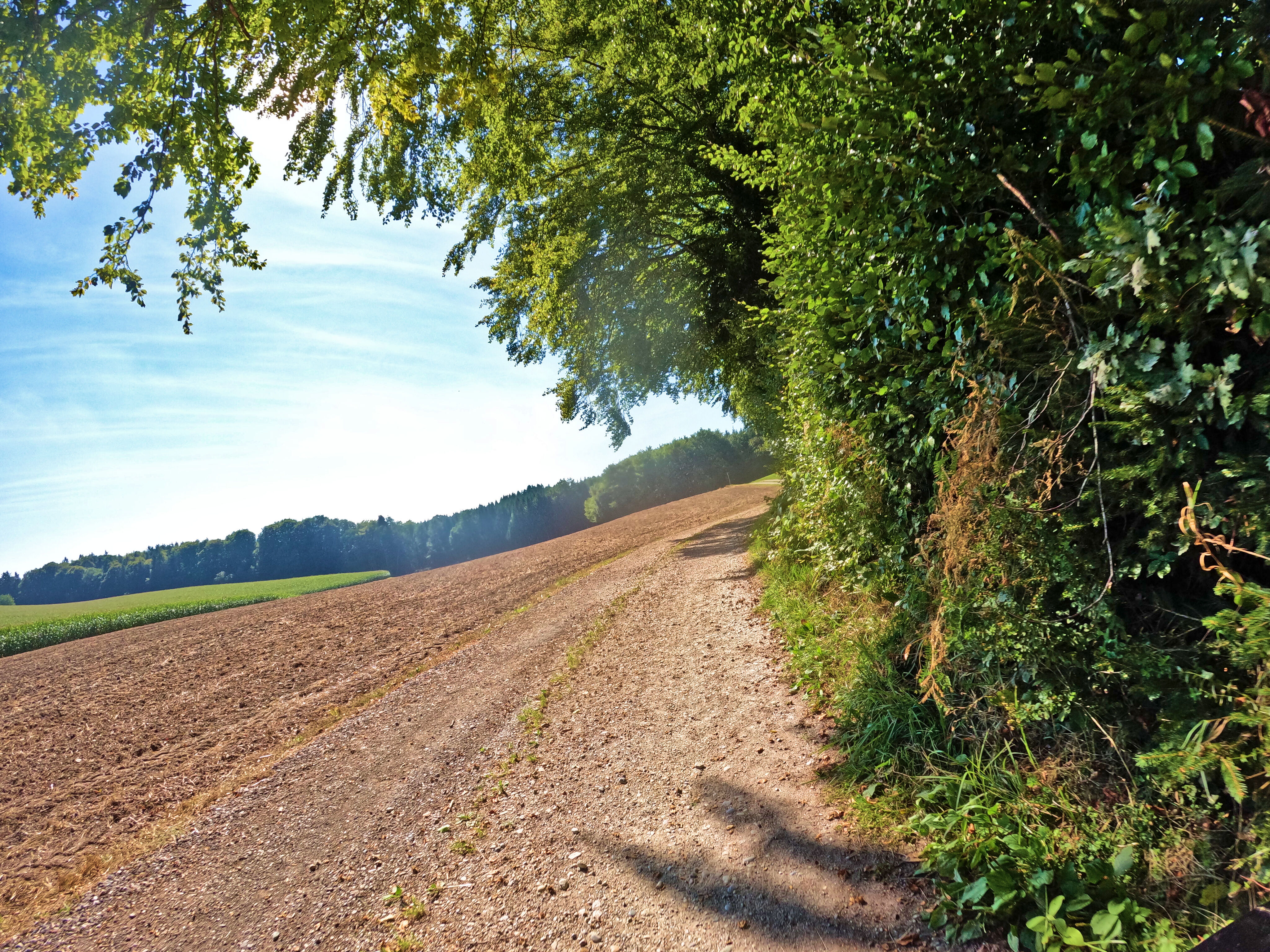 &hellip; die eher &hellip;