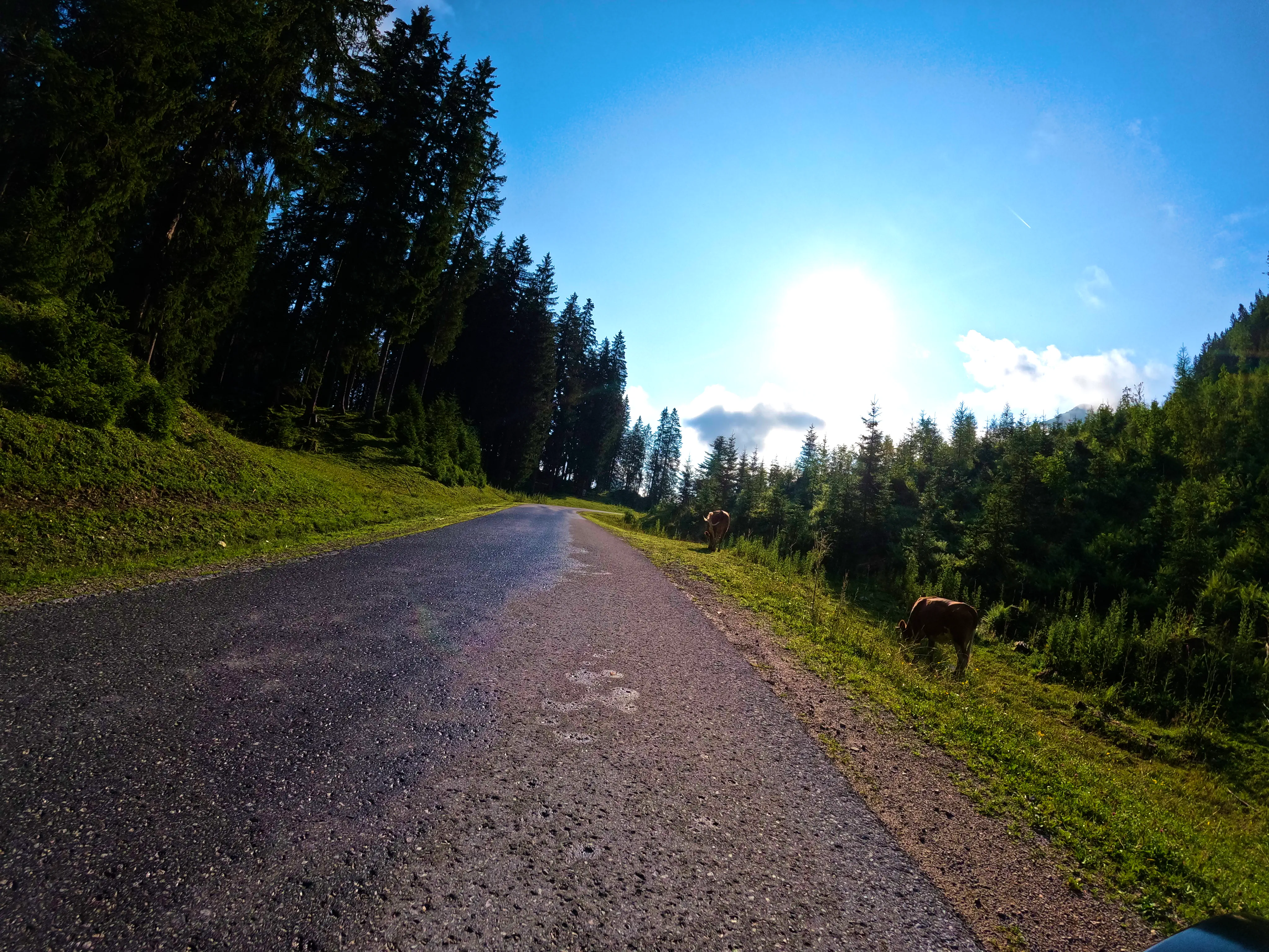 Über noch feuchte …