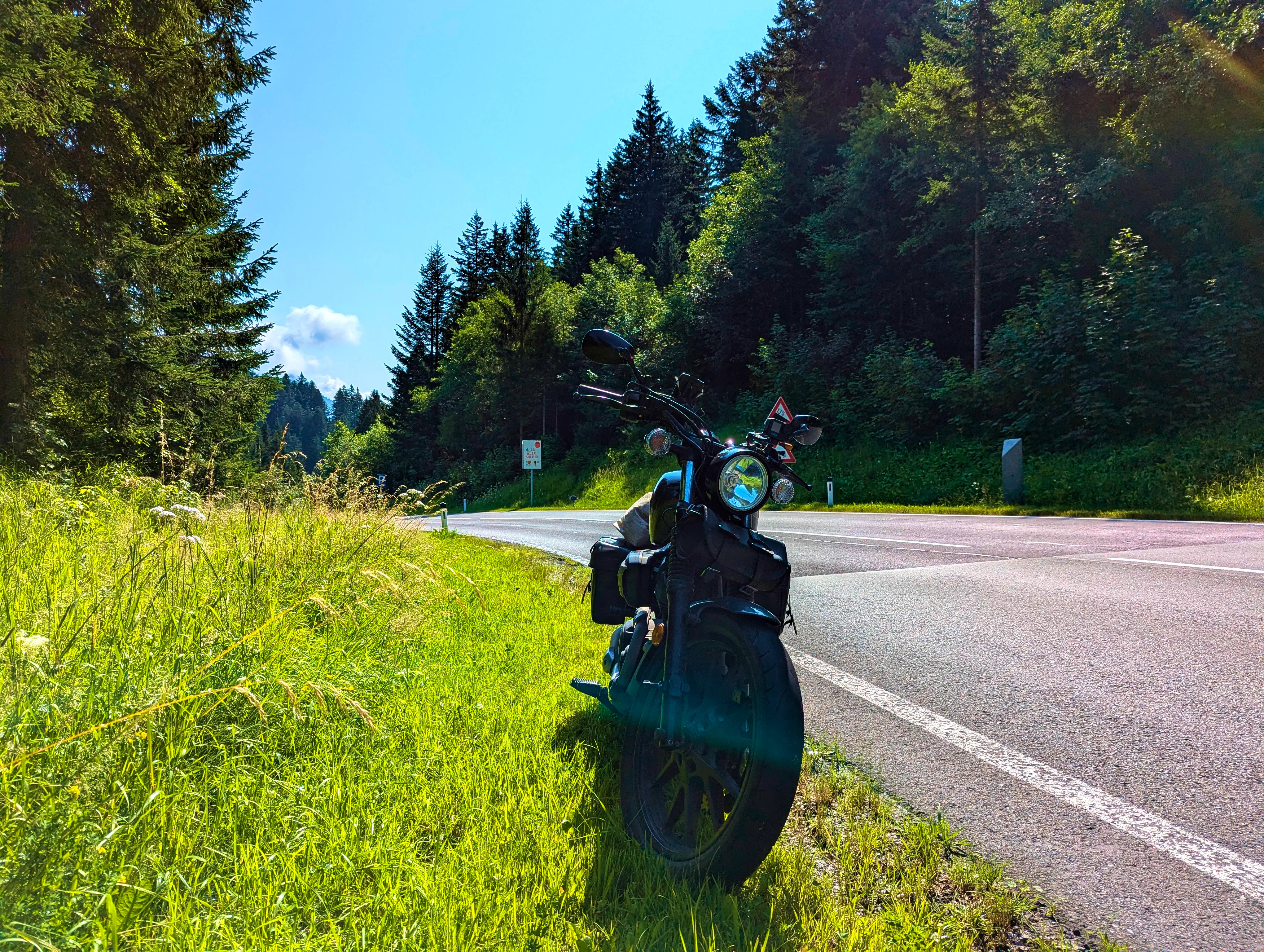 Bolt im Grünen am Pass Gschütt