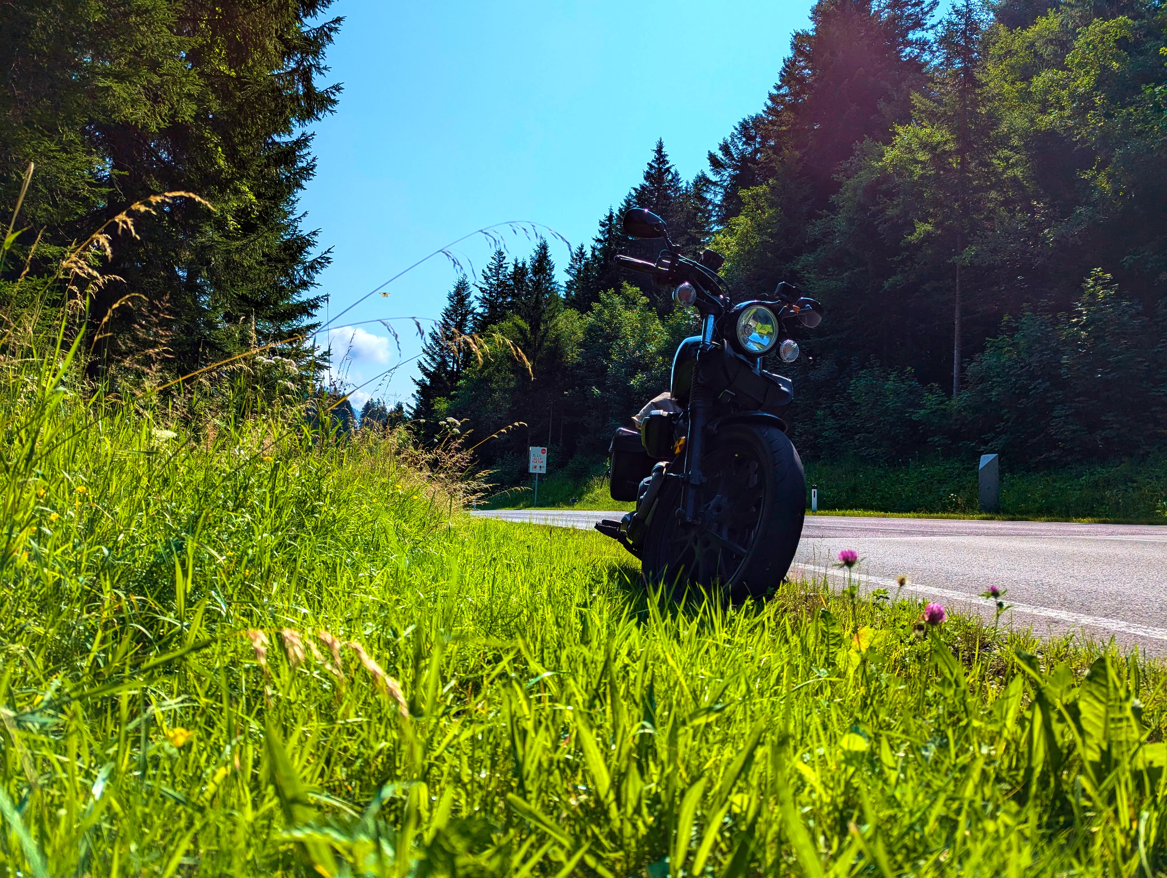 Bolt im Grünen am Pass Gschütt