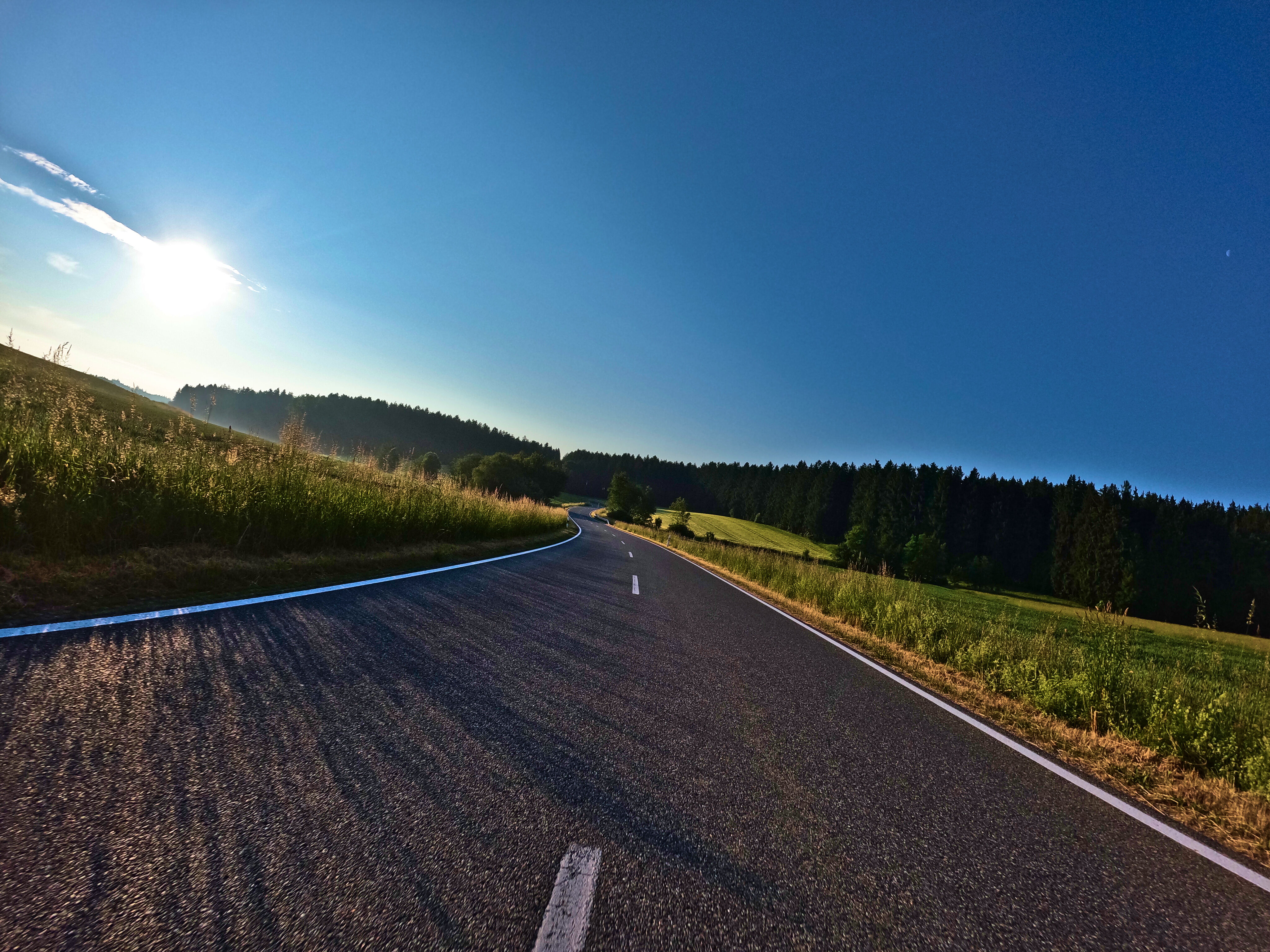 … der Sonne entgegen.