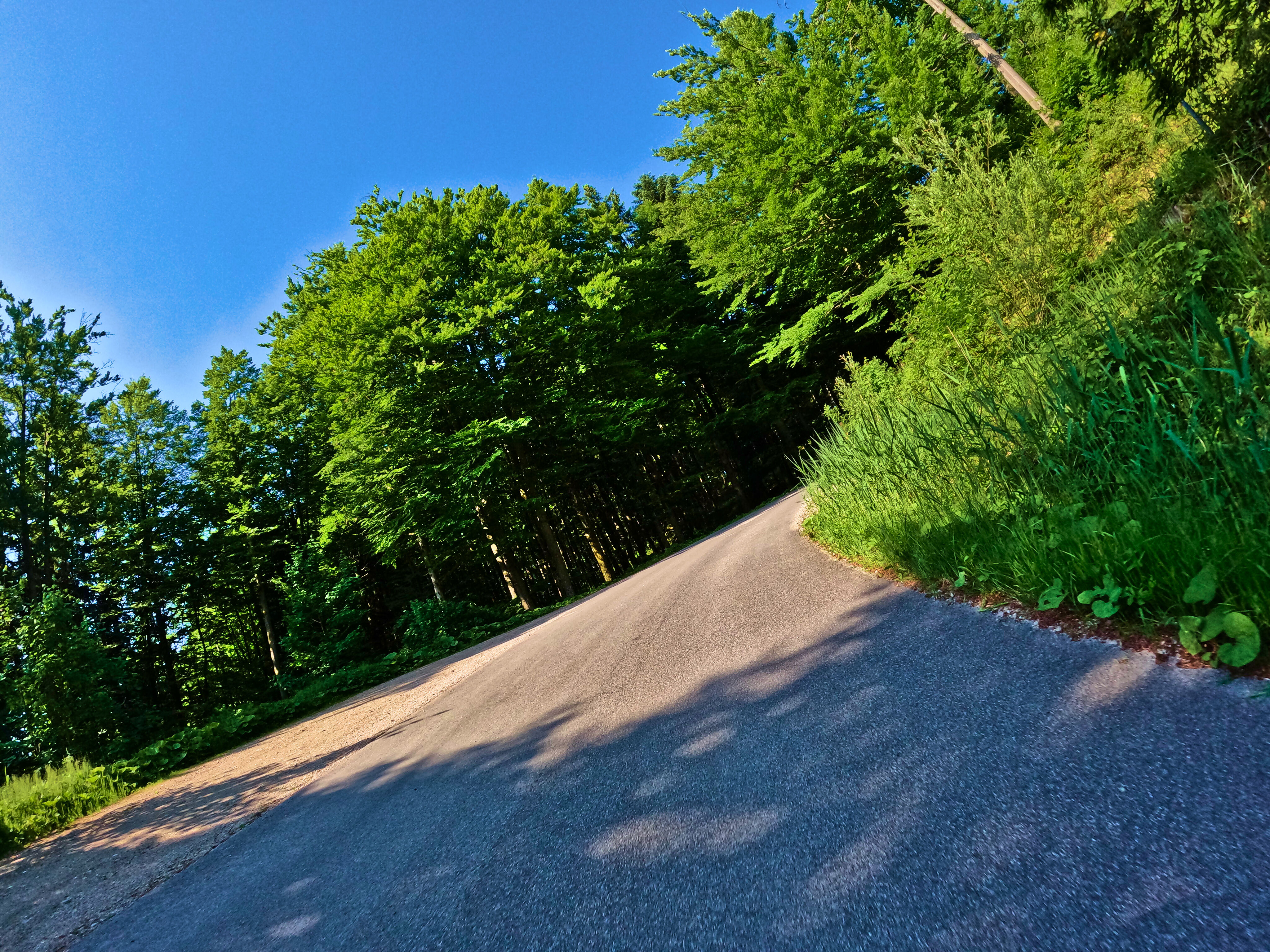 … kurvig immer …