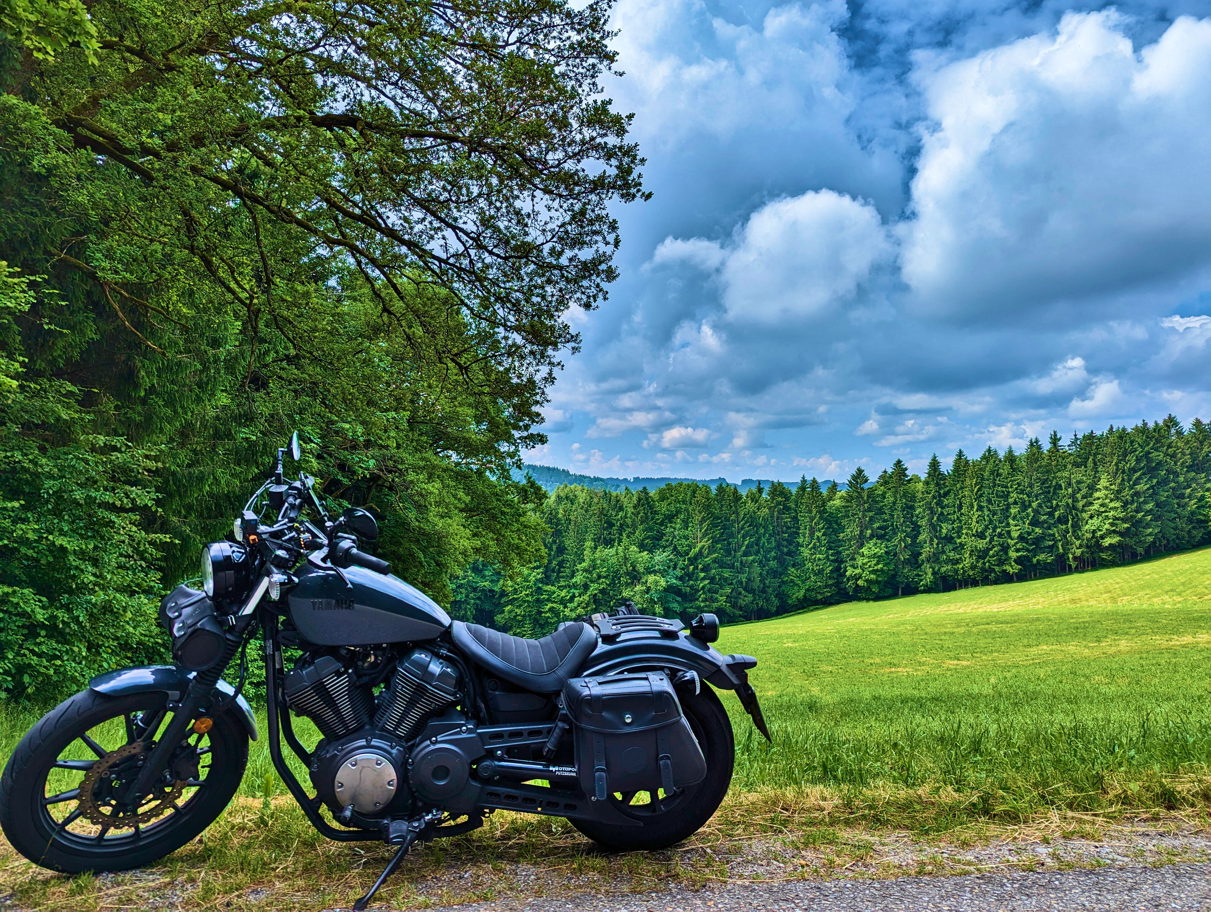 Eine schöne Gegend, der Kobernaußerwald