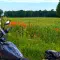#MotoMontag (110)