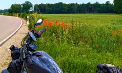 Featured image of post #MotoMontag (110)