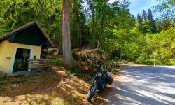 Featured image of post #MotoMontag (115)
