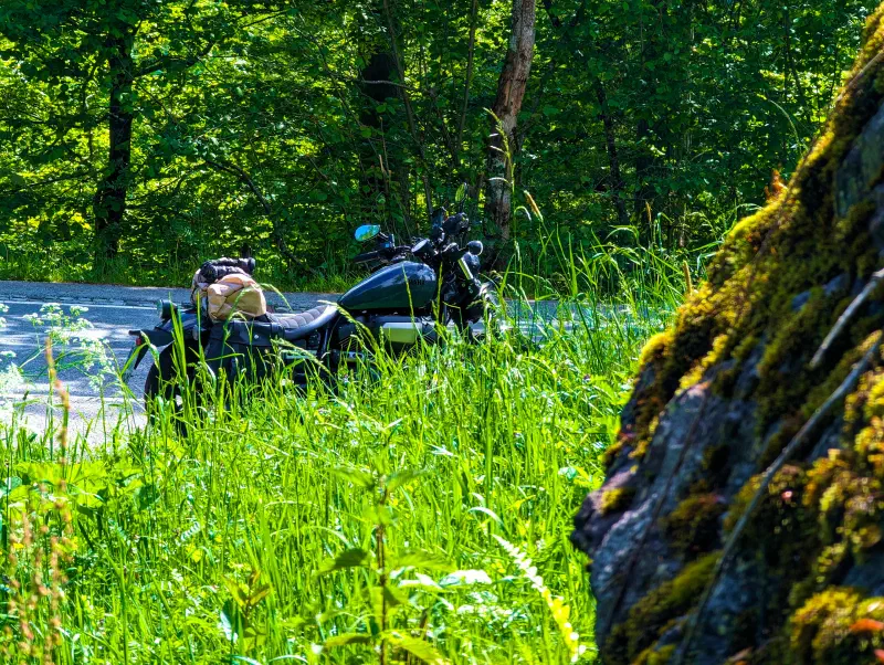 Featured image of post #MotoMontag (116)