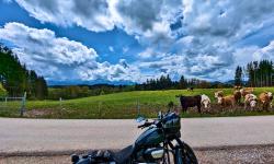 Featured image of post #MotoMontag (19)