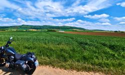 Featured image of post #MotoMontag (24)