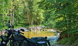 Featured image of post #MotoMontag (35)