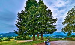 Featured image of post #MotoMontag (45)