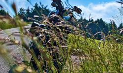 Featured image of post #MotoMontag (46)