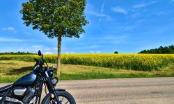 Featured image of post #MotoMontag (64)
