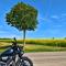 #MotoMontag (64)