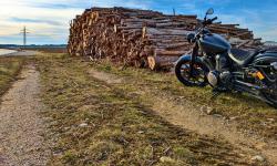 Featured image of post #MotoMontag (7)